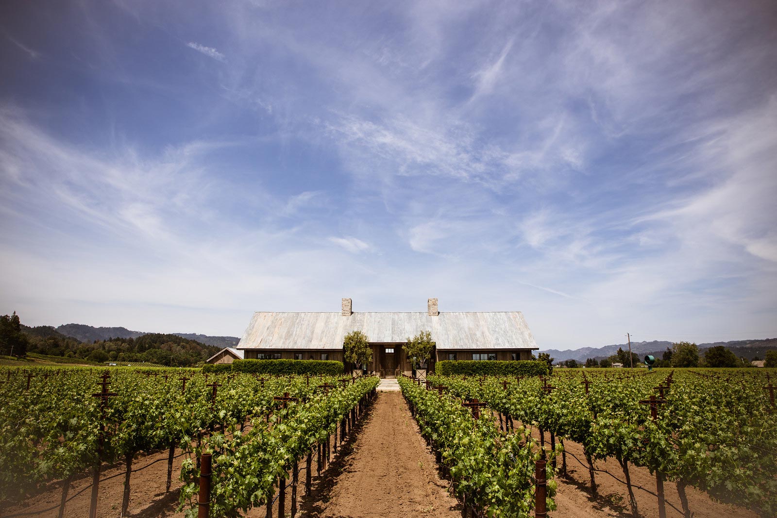 Adler Deutsch Vineyard